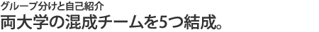 両大学の混成チームを5つ結成
