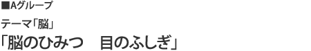 aグループ テーマ「脳」「脳のひみつ 目のふしぎ」