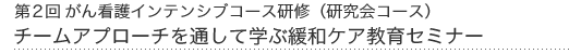 第2回がん看護インテンシブ研修(研究会コース)チームアプローチを通して学ぶ緩和ケア教育セミナー