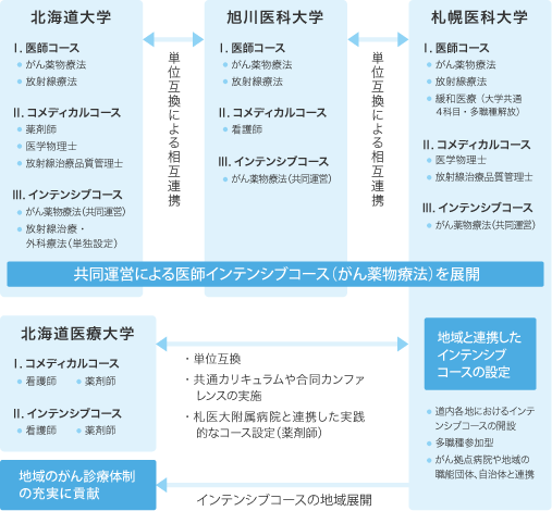 大学別コース内容(役割分担)