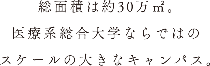 総面積は約30万㎡。医療系総合大学ならではのスケールの大きなキャンパス。